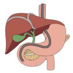 Acidity & GI tretament | Gastroenterologist In Nashik |Dr. Nitin Borse