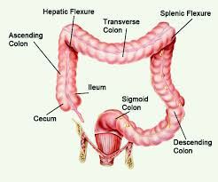 Acidity & GI tretament | Gastroenterologist In Nashik |Dr. Nitin Borse