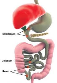 Acidity & GI tretament | Gastroenterologist In Nashik |Dr. Nitin Borse